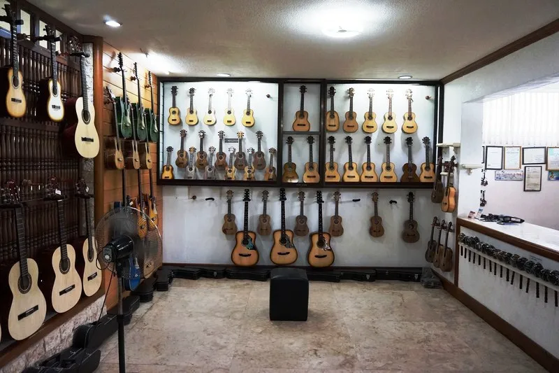 Khi mua đàn, bạn nên cân nhắc kỹ về nhu cầu sử dụng, trình độ chơi đàn và ngân sách để chọn được cây đàn phù hợp nhất.