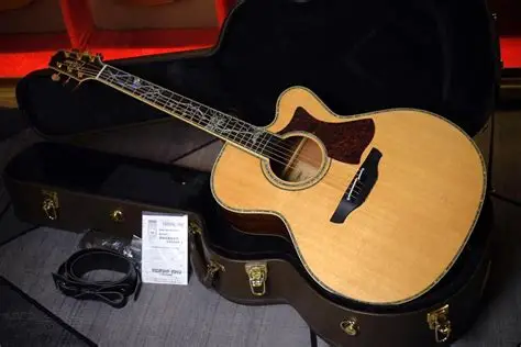 Review đàn Guitar Takamine: Lựa chọn nào phù hợp cho bạn?