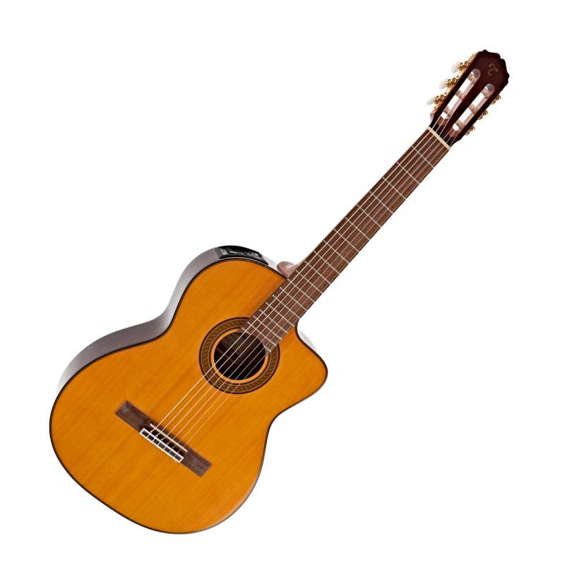 Đàn guitar Takamine là một thương hiệu nổi tiếng đến từ Nhật Bản, được biết đến với chất lượng âm thanh tốt và độ bền cao, phù hợp với nhiều đối tượng người chơi, từ người mới bắt đầu đến nghệ sĩ chuyên nghiệp. Takamine có nhiều phân khúc giá, từ những cây đàn giá rẻ cho người mới bắt đầu đến những cây đàn cao cấp dành cho biểu diễn chuyên nghiệp. Ưu điểm của đàn guitar Takamine: