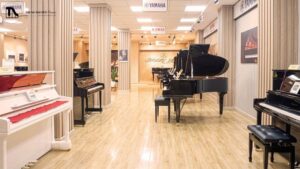 Top 10 cửa hàng bán đàn Piano ở Hà Nội