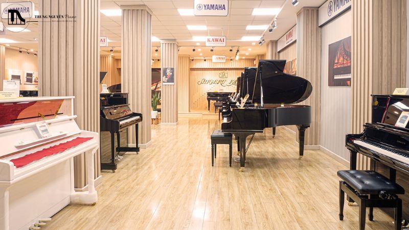 Top 10 cửa hàng bán đàn Piano ở Hà Nội