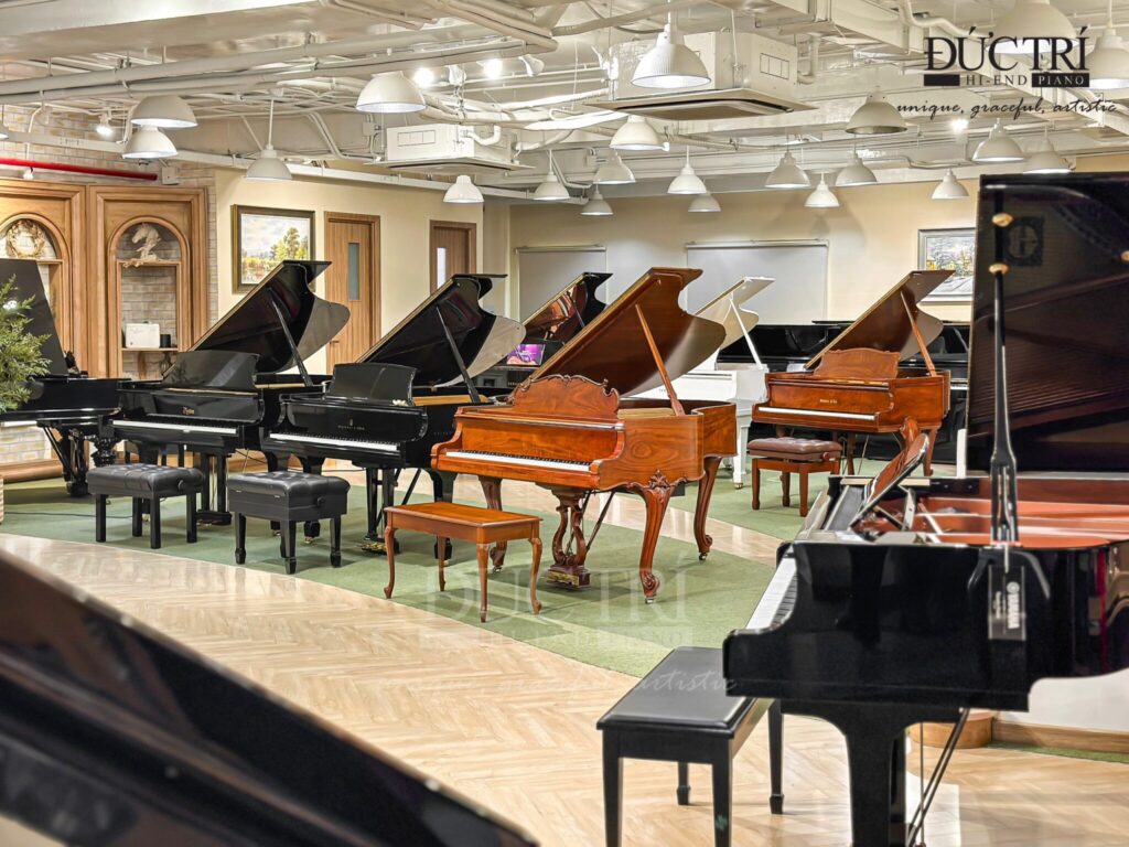 Sản phẩm Piano Đức Trí